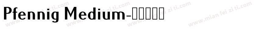 Pfennig Medium字体转换